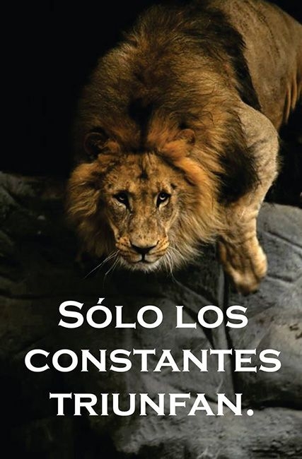 Constancia